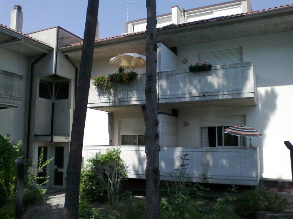 Cond Girasole